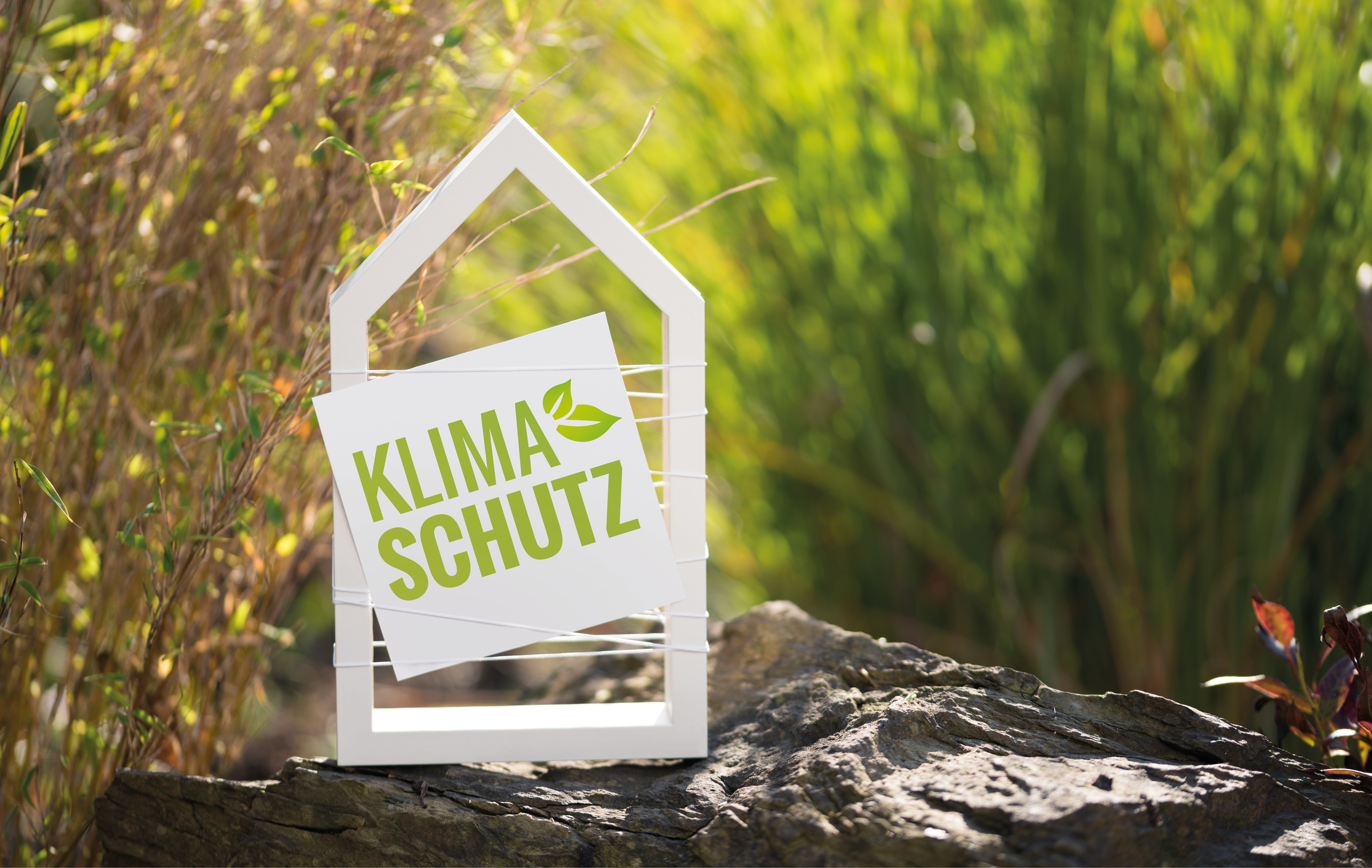 Klimaschutz als Tafel auf einem Holzrahmen im Grünen